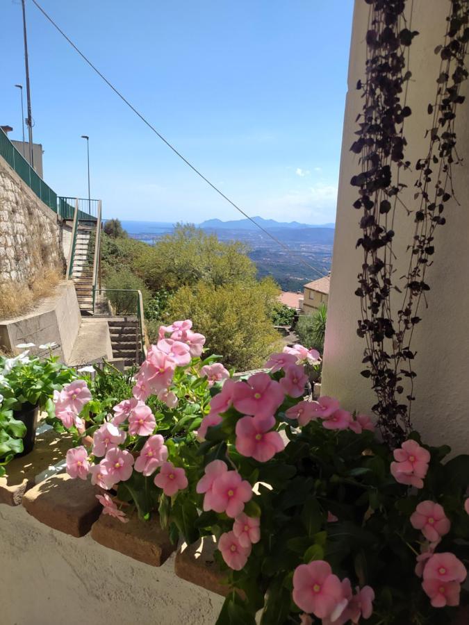 Bed and Breakfast Steddueoro Baunei Exterior foto